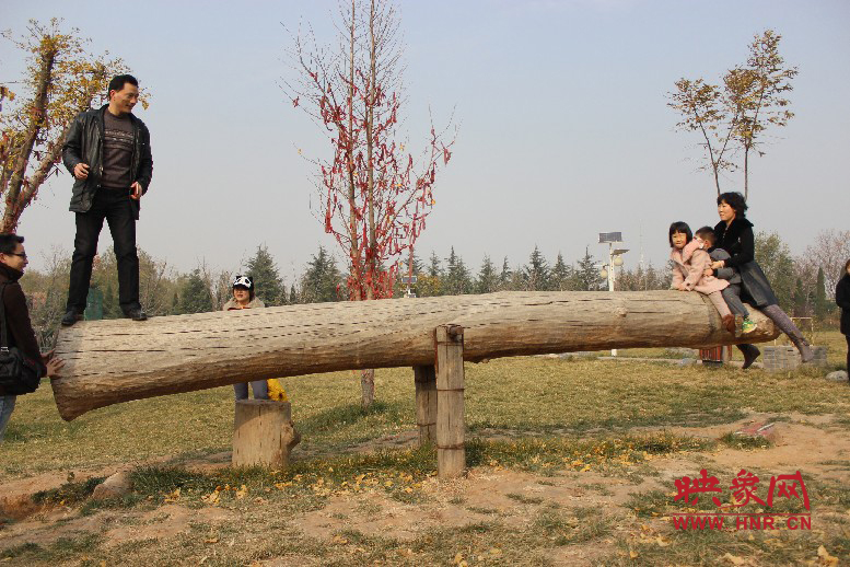 巨大的蹺蹺板，一棵樹。。?？赐娴亩噜? oldsrc=