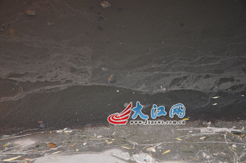 19日晚上的玉帶河，紅色河水變回灰綠色。