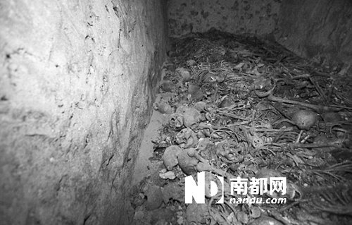 　5月29日，在以色列特拉維夫市雅法地區(qū)，一處集體墳?zāi)贡话l(fā)現(xiàn)。