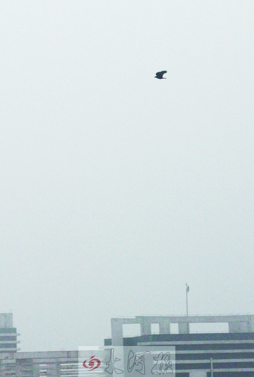 全省35個(gè)縣市發(fā)布惡劣天氣預(yù)警信號(hào)，其中15個(gè)發(fā)布大霧紅色預(yù)警