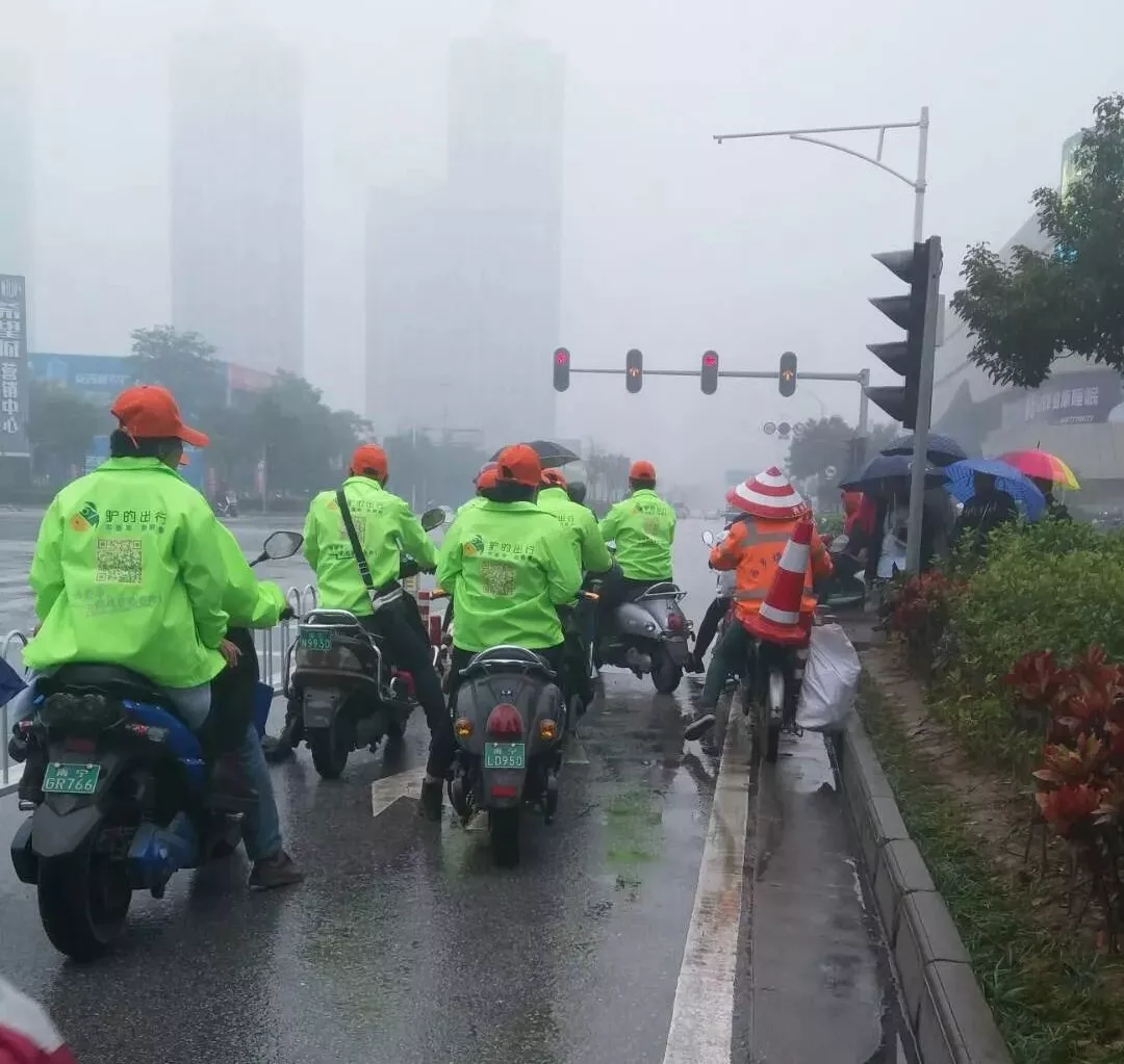 出門(mén)打驢？ 南寧“滴滴打驢”被緊急叫停