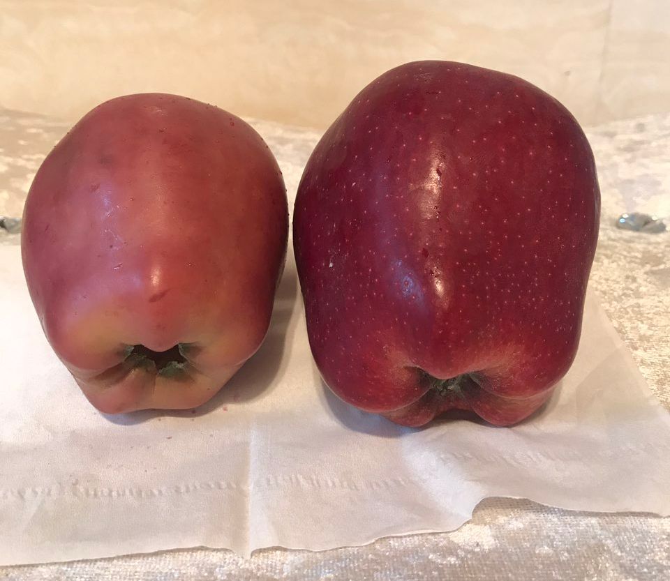 嚇懵！女子用熱水泡蘋果結(jié)果冒出血珠 咋回事？