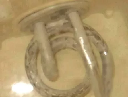 太惡心！女游客竟用酒店燒水壺煮自己的臟內(nèi)褲