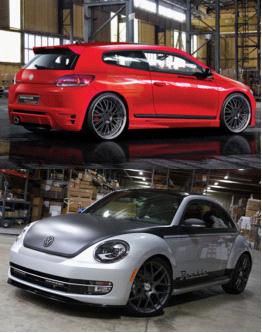 尚酷、甲殼蟲