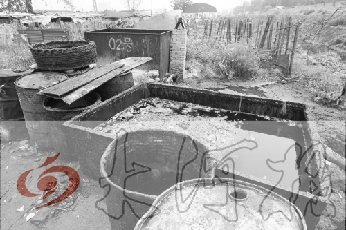 　　骯臟、令人作嘔的油桶凌亂地?cái)[放在院子里，為了避免視覺(jué)刺激，我們把它做成了黑白圖片。