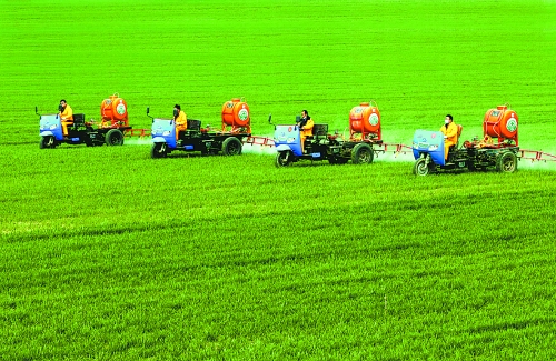 車載噴霧機奔駛在萬畝高產(chǎn)田里。