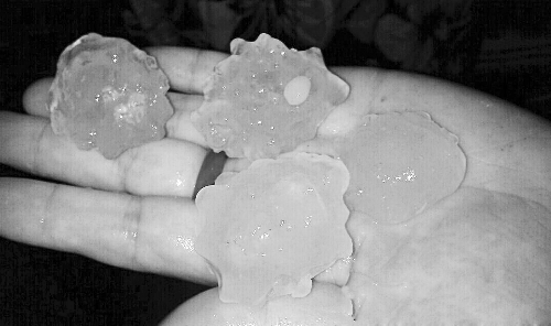 昨天凌晨，三門峽下起了冰雹，最大直徑近1厘米 微博截圖