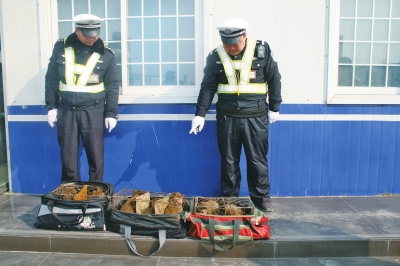 民警查獲的乘客行李包中，裝的全是獼猴。