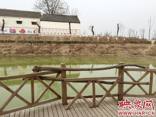 護欄損毀的地方，已經(jīng)被兩根樹干擋住。