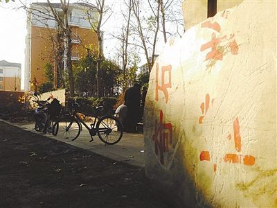 昨日，“上海奇石盆景博物館”原址上，已矗立起小區(qū)樓盤，而刻著博物館名的巨石，廢棄在一旁。本版圖片/新京報(bào)記者 張永生 攝