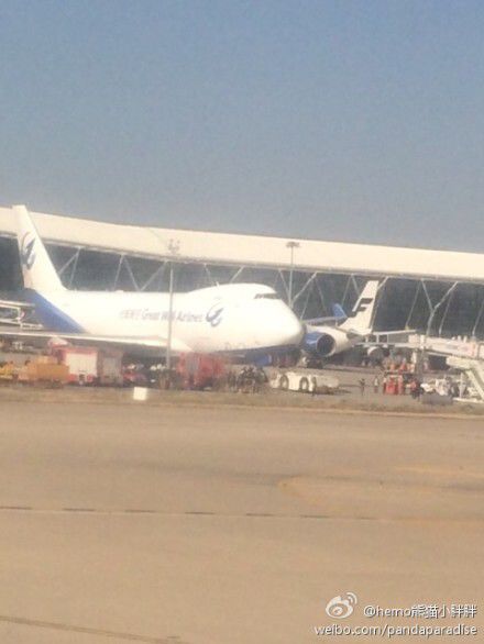 圖說：發(fā)生事故的飛機。圖片來源：新浪微博網(wǎng)友圖（請私信“新民晚報新民網(wǎng)”以奉稿酬）