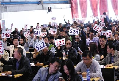 競拍者正在練習舉牌動作，以便拍賣時讓工作人員看清號牌。