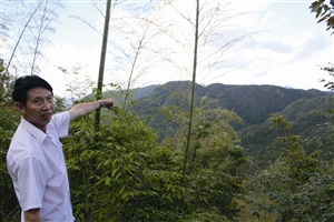 村民吳學(xué)田告訴記者，對面兩座山就是潘建友承包的部分山場 見習(xí)記者 邱一文 攝