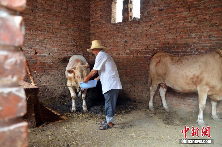 同時(shí)，地下水位的持續(xù)下降以及部分山泉水的干涸，已造成全縣2.85萬人和2000頭大牲畜出現(xiàn)飲水困難。