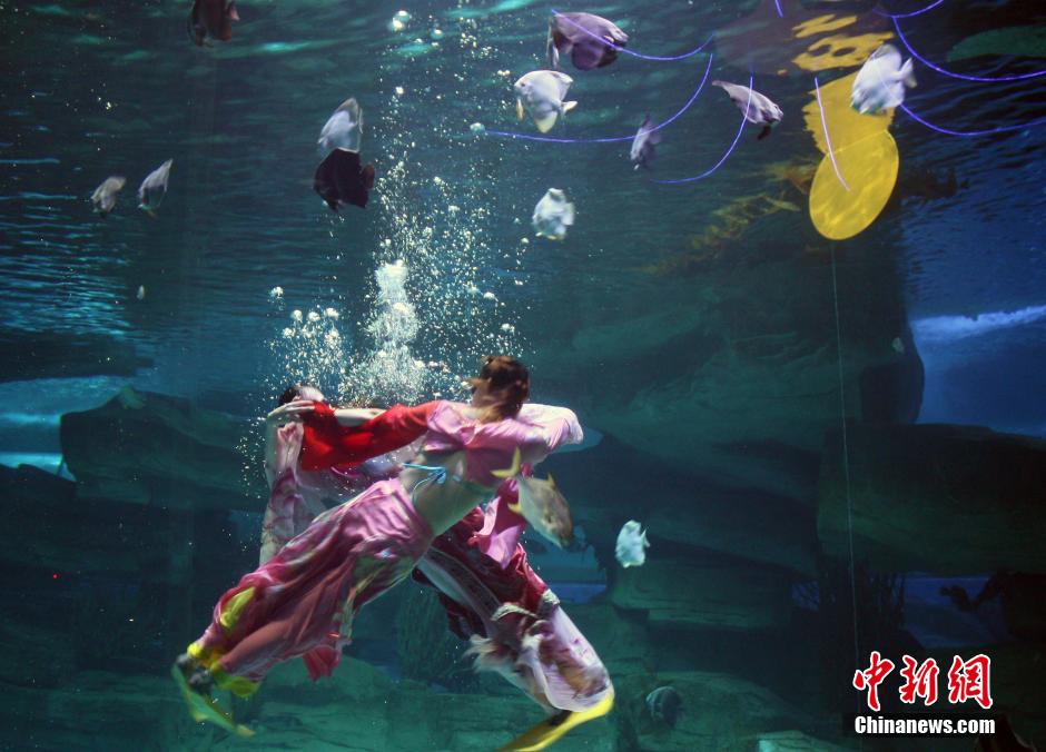 9月7日，在中秋節(jié)到來前一天，山東泉城海洋極地世界為游客帶來“嫦娥水中奔月”表演。