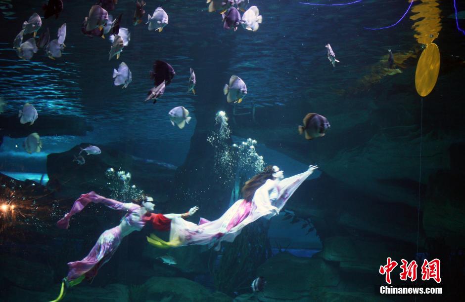 9月7日，在中秋節(jié)到來前一天，山東泉城海洋極地世界為游客帶來“嫦娥水中奔月”表演。