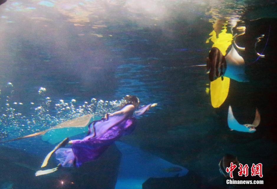 9月7日，在中秋節(jié)到來前一天，山東泉城海洋極地世界為游客帶來“嫦娥水中奔月”表演。