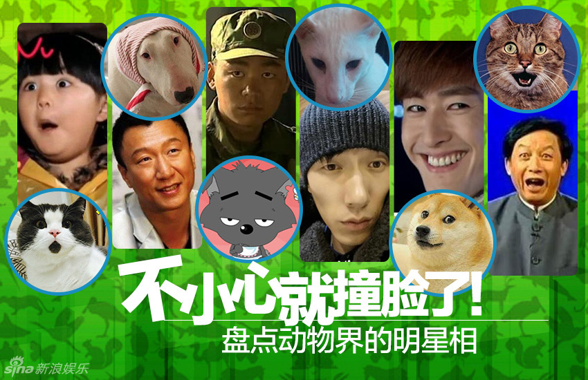 不小心就撞臉了！盤點(diǎn)動(dòng)物界的明星相