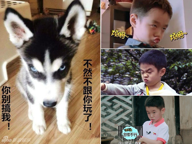 不小心就撞臉了！盤點(diǎn)動(dòng)物界的明星相