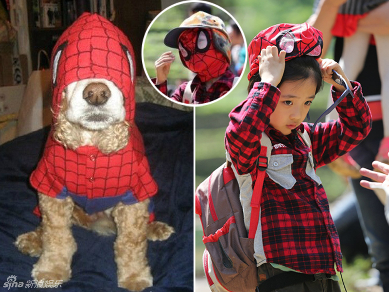 不小心就撞臉了！盤點(diǎn)動(dòng)物界的明星相