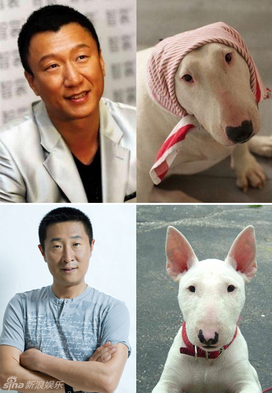 不小心就撞臉了！盤點(diǎn)動(dòng)物界的明星相