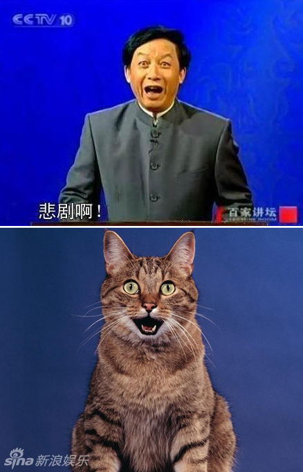 不小心就撞臉了！盤點(diǎn)動(dòng)物界的明星相