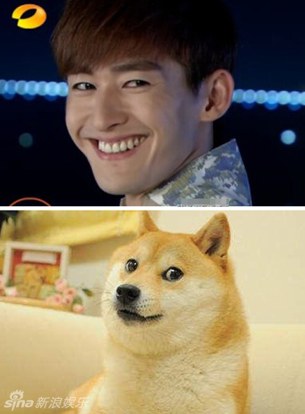 不小心就撞臉了！盤點(diǎn)動(dòng)物界的明星相