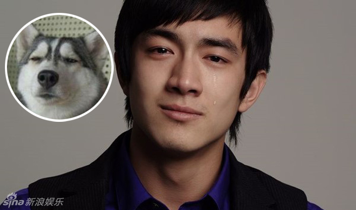 不小心就撞臉了！盤點(diǎn)動(dòng)物界的明星相