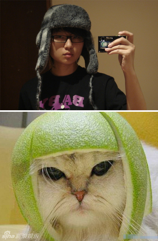 不小心就撞臉了！盤點(diǎn)動(dòng)物界的明星相