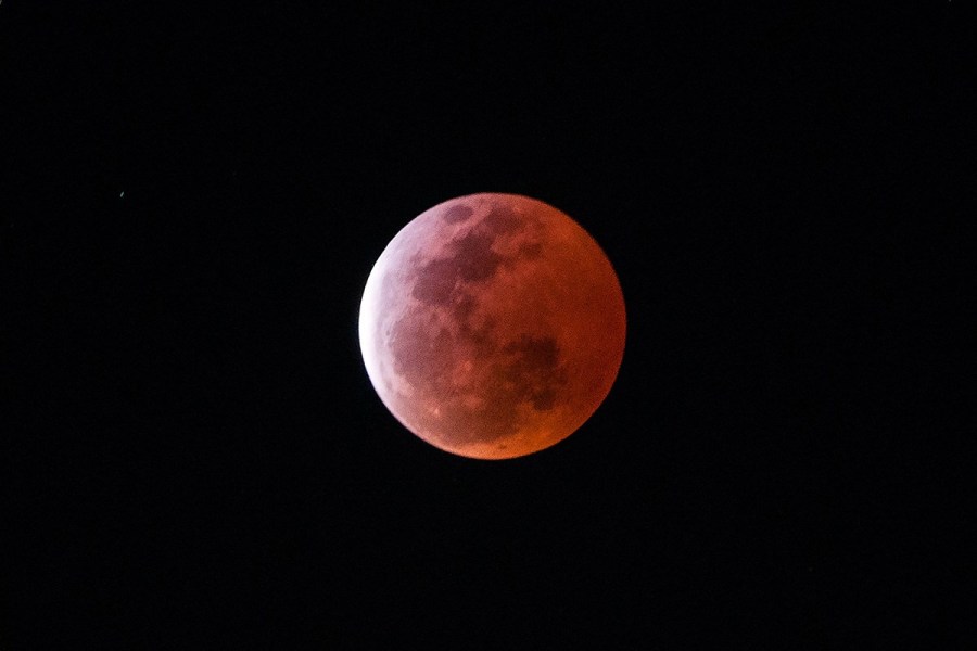 4月4日，福州上空出現(xiàn)紅月亮。楊婀娜/CFP