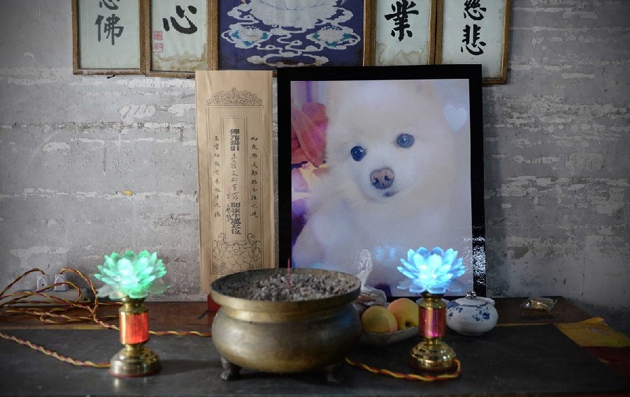 寵物狗的遺像被擺放在寺廟中。