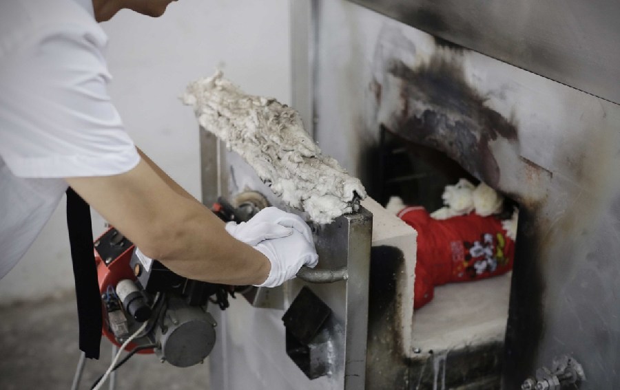 工作人員將狗狗推入火化爐。