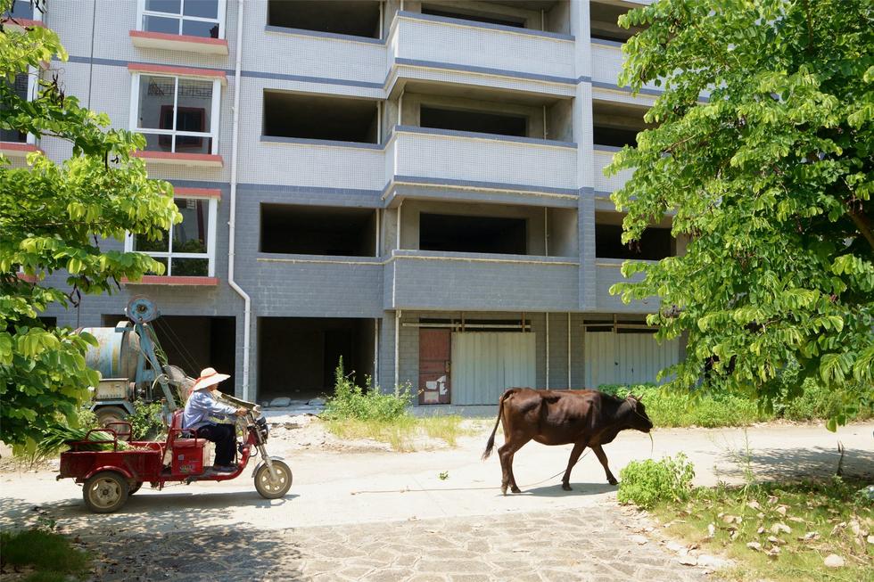 2016年7月26日，村民在廣西來(lái)賓市忻城縣隆達(dá)山水福城荒廢別墅間放牛。