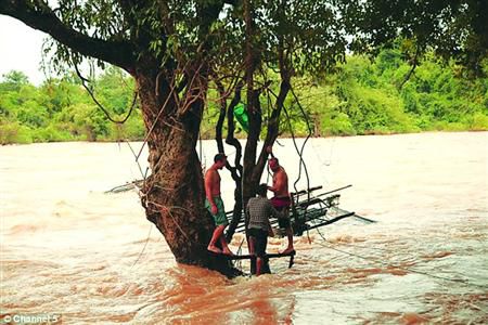 蓋屋、種菜，“從沒這樣快樂”