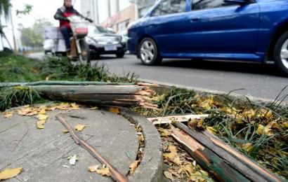 事發(fā)現(xiàn)場，嫌疑車輛撞壞的木樁。