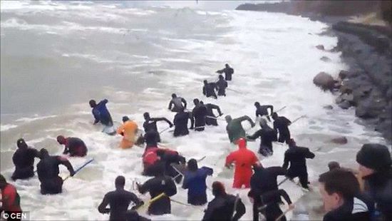 一場(chǎng)暴雨后，俄羅斯加里寧格勒Pionersky鎮(zhèn)，數(shù)十人潛入海水中搜尋琥珀。