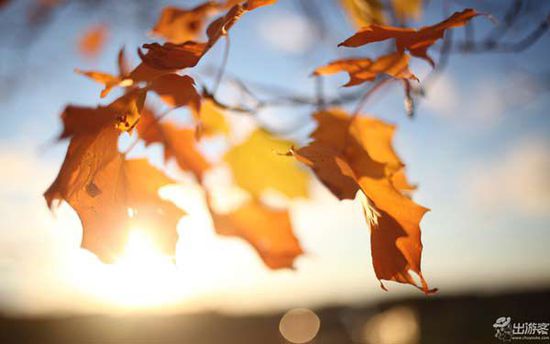 九月份適合去哪里旅游?九月最美的地方 九月份適合去哪里旅游?九月最美的地方