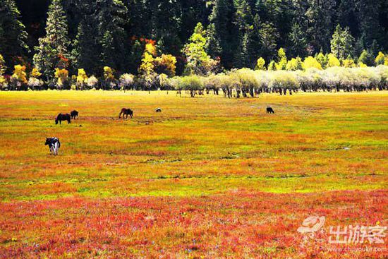 九月份適合去哪里旅游?九月最美的地方 九月份適合去哪里旅游?九月最美的地方