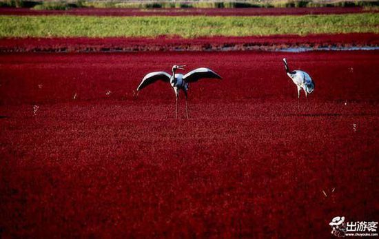 九月份適合去哪里旅游?九月最美的地方 九月份適合去哪里旅游?九月最美的地方