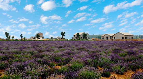 嵖岈山傾情打造中秋節(jié)休閑度假全體驗