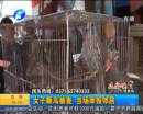 女子販鳥被查  當(dāng)場舉報(bào)鄰居