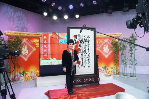 公司特聘請(qǐng)國(guó)家一級(jí)著名豫劇演員王希玲作為春節(jié)期間“歡騰購物”形象大使