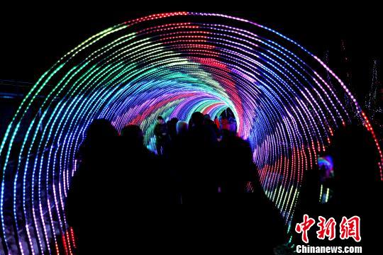 奇幻燈展點(diǎn)亮河南欒川迎新春萬(wàn)樹繁花美輪美奐